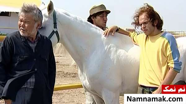 خلاصه داستان و بیوگرافی بازیگران فیلم سینمایی اسب فیلم اسب