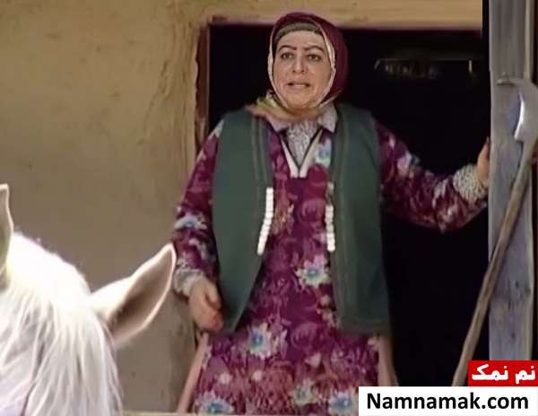 خلاصه داستان و بیوگرافی بازیگران فیلم سینمایی اسب فیلم اسب