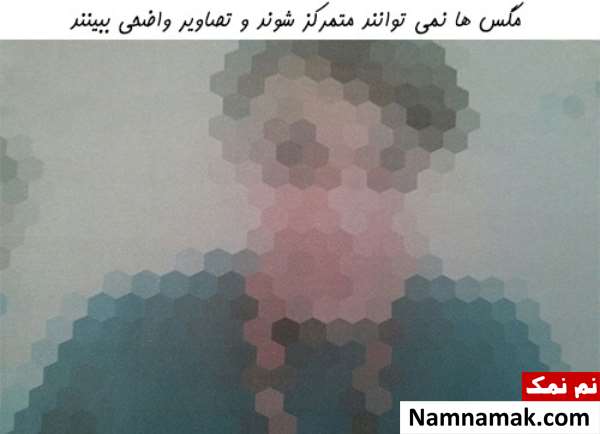 دنیا از دید مگس دنیا از دید مگس