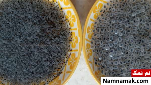 فرق و تفاوت تخم ریحان با تخم شربتی چیست؟ فرق و تفاوت تخم ریحان با تخم شربتی چیست؟