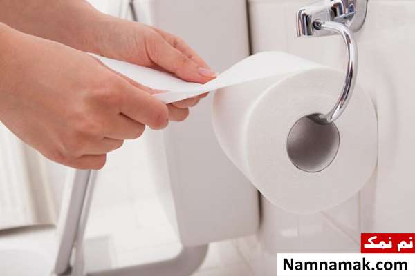 انواع حشرات دستشویی و توالت و راه های دفع آن ها