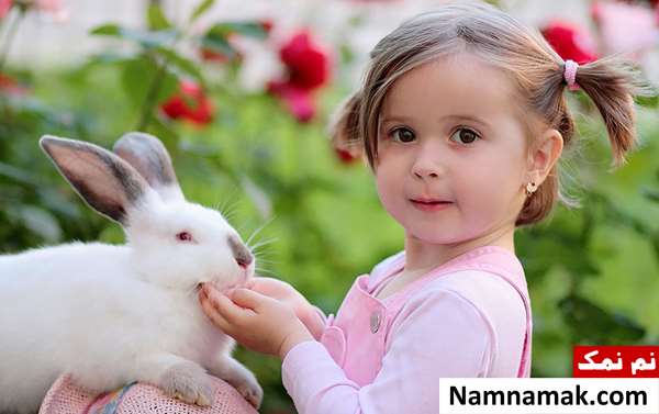 نگهداری خرگوش در خانه برای کودکان