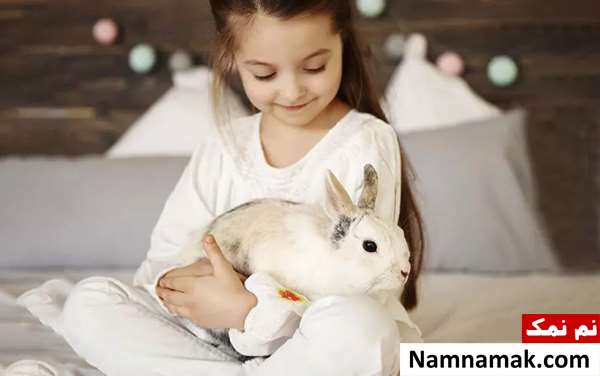 نگهداری خرگوش در خانه برای کودکان