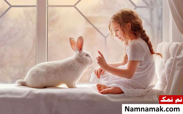 نگهداری خرگوش در خانه برای کودکان