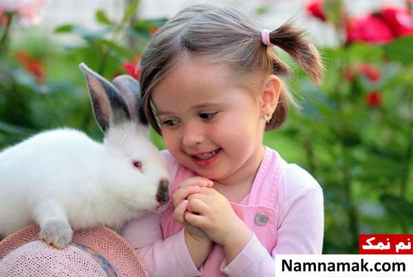 نگهداری خرگوش خوبه