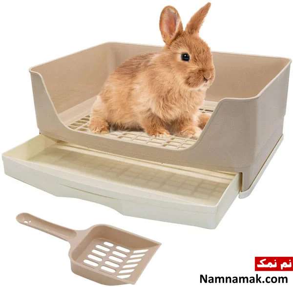 لیست وسایل ضروری برای نگهداری خرگوش در خانه لیست وسایل ضروری برای نگهداری خرگوش در خانه