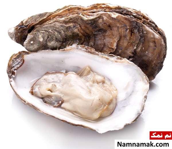 صدف چروک