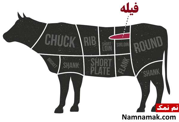 فرق راسته و فیله عکس فیله و محل قرارگیری