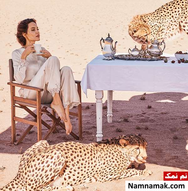 عکس های آنجلینا جولی روی مجله بازار،جدیدترین عکس های آنجلینا جولی