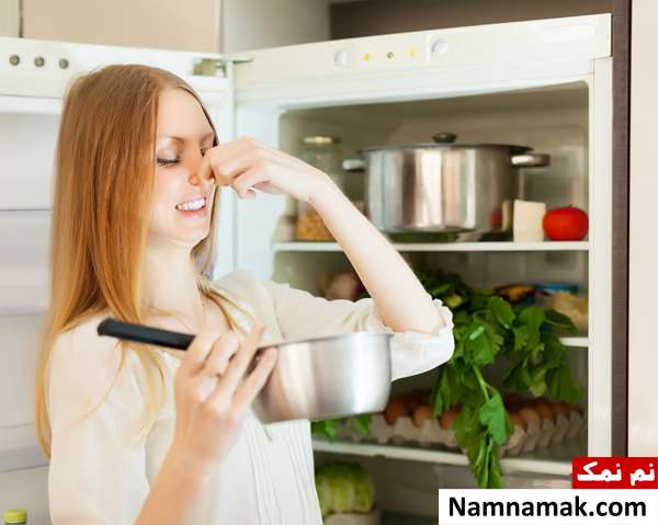 معرفی انواع کپک های خطرناک