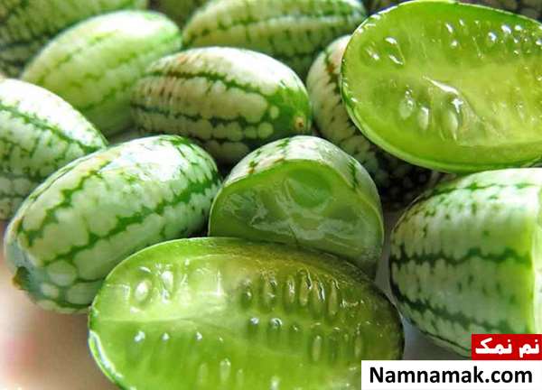 نام میوه های دریایی