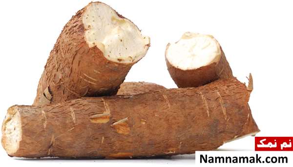 مانیوک Manioc
