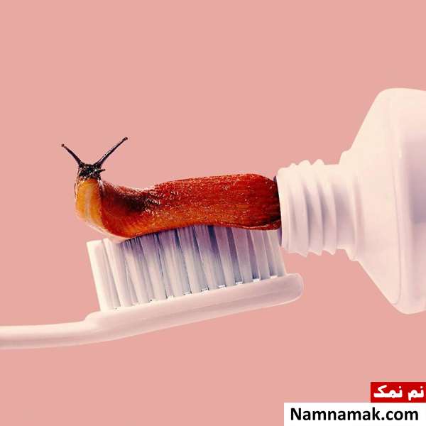 فریبنده ترین تصاویر جهان که با تماشای آنها سردرگم خواهید شد! فریبنده ترین تصاویر جهان که با تماشای آنها سردرگم خواهید شد!