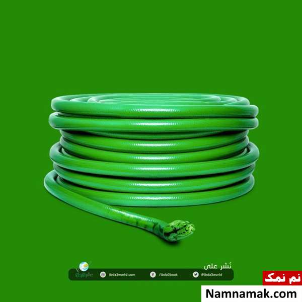 فریبنده ترین تصاویر جهان که با تماشای آنها سردرگم خواهید شد! فریبنده ترین تصاویر جهان که با تماشای آنها سردرگم خواهید شد!