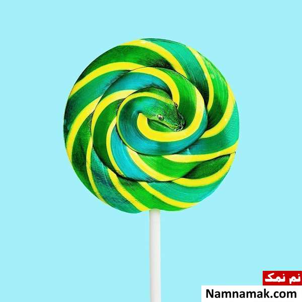 فریبنده ترین تصاویر جهان که با تماشای آنها سردرگم خواهید شد! فریبنده ترین تصاویر جهان که با تماشای آنها سردرگم خواهید شد!