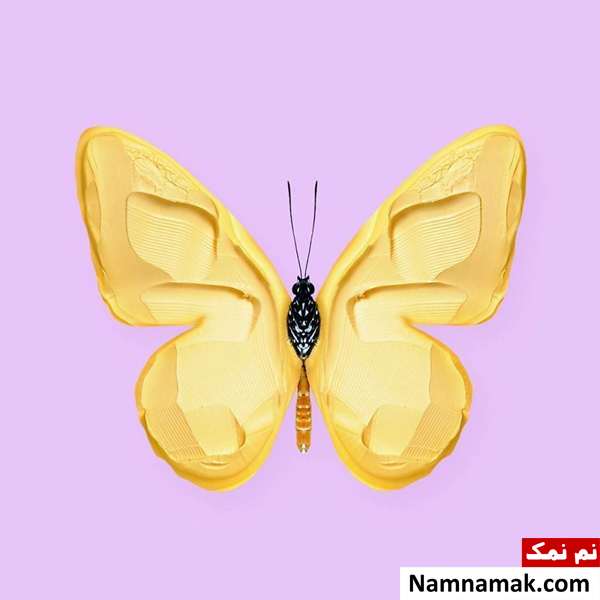 فریبنده ترین تصاویر جهان که با تماشای آنها سردرگم خواهید شد! فریبنده ترین تصاویر جهان که با تماشای آنها سردرگم خواهید شد!
