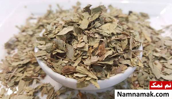 درمان یبوست با برگ گیاه سنا در طب سنتی