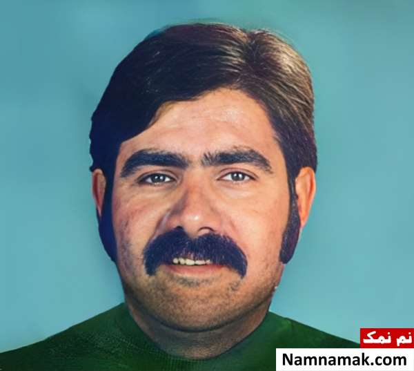 زندگینامه محمد برزمهری و همسرش محمد برزمهری