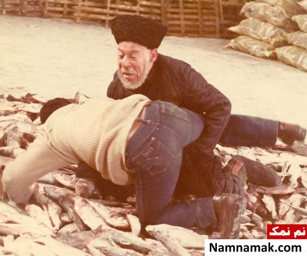 فیلم شیلات