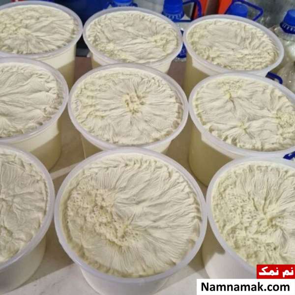 غذاهای سالم با کلسترول بالا