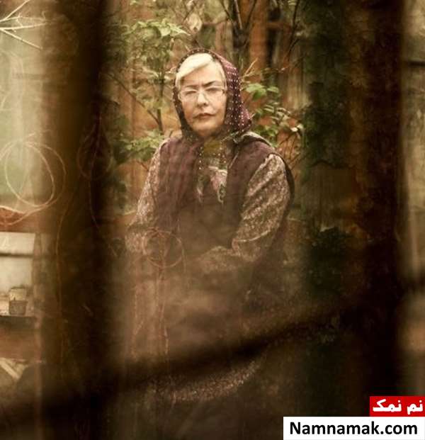خلاصه داستان و بیوگرافی بازیگران فیلم پروین آزیتا حاجیان در فیلم پروین