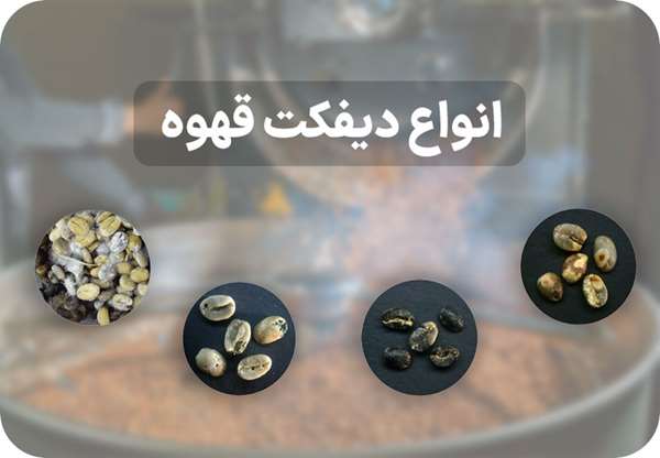 انواع دیفکت قهوه