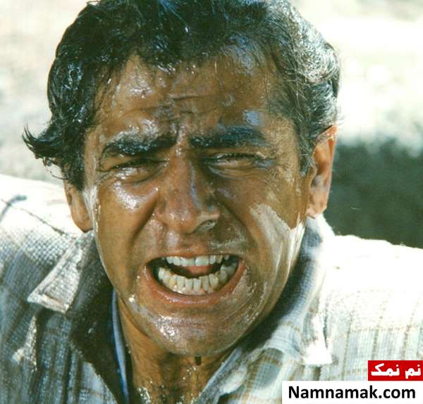 فیلم قانون