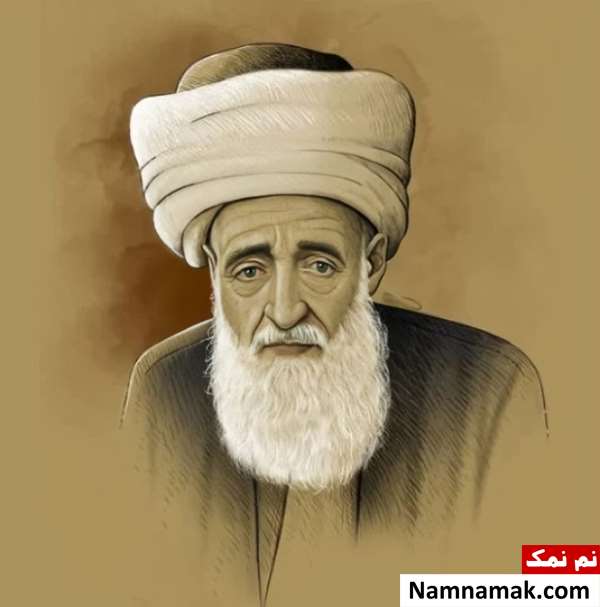 شیخ مفید