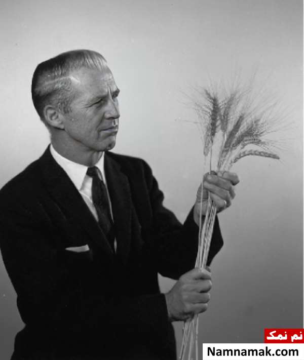 بیوگرافی نورمن بورلاگ از انقلاب سبز کشاورزی تا همسر و فرزندان نورمن بورلاگ - Norman Borlaug