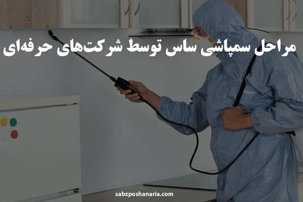 مراحل سمپاشی ساس توسط شرکت های حرفه ای