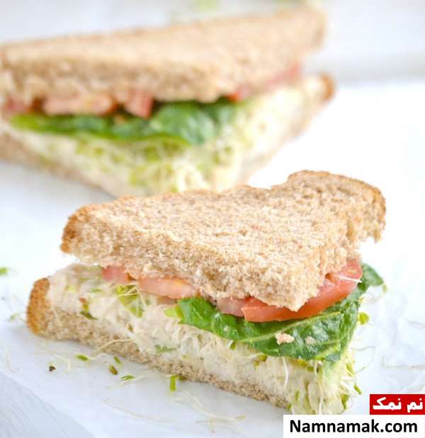 طرز تهیه اسنک تن ماهی