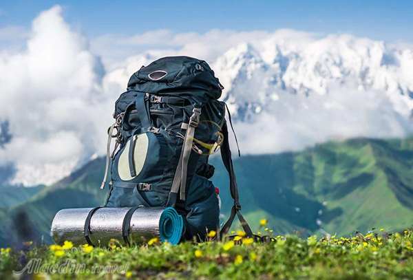 طبیعت گردی حرفه ای