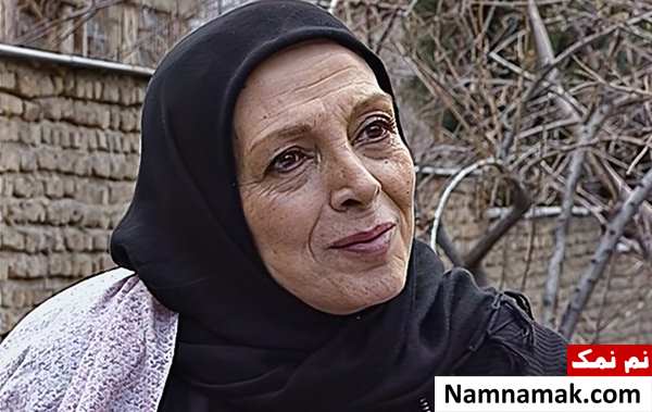 خلاصه داستان و بیوگرافی بازیگران سریال ایرانی بازگشت به خانه نیکو خردمند در سریال بازگشت به خانه