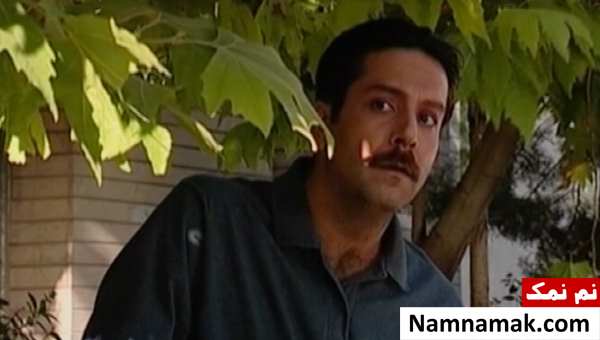 خلاصه داستان و بیوگرافی بازیگران سریال شبی از شب ها حمیدرضا پگاه در سریال شبی از شب ها