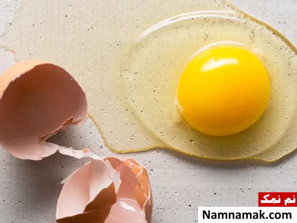 پروتئین سفیده تخم مرغ