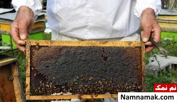 سوغات مراغه از خوراکی تا صنایع دستی