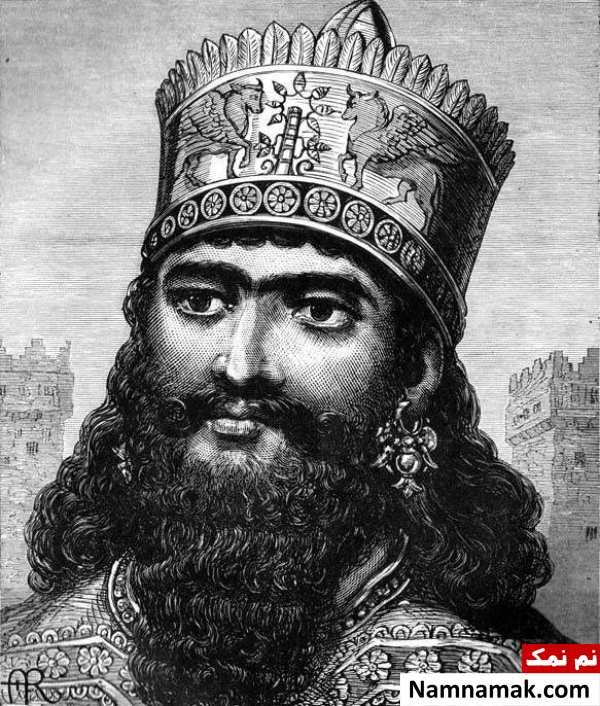 رضا شفیعی جم کمبوجیه رضا شفیعی جم کمبوجیه