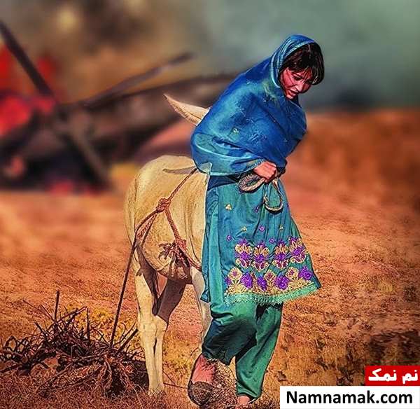 فیلم سگ ها دیشب نخوابیدند