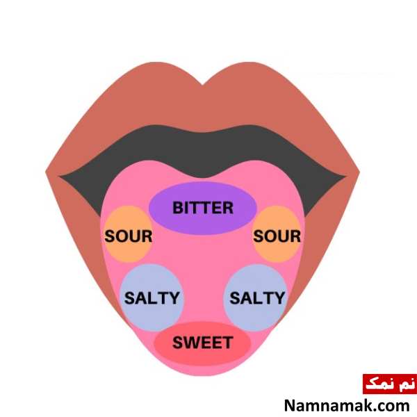 حس چشایی