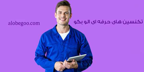 تکنسین های حرفه ای و مجرب : 