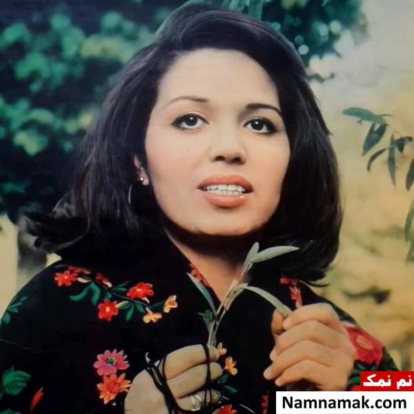زندگینامه سیمین غانم و همسرش عکس جوانی سیمین غانم قبل از انقلاب