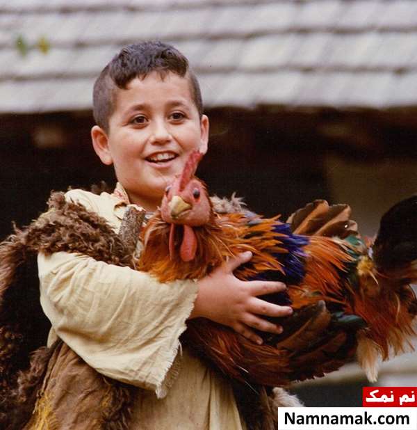 فیلم گلنار