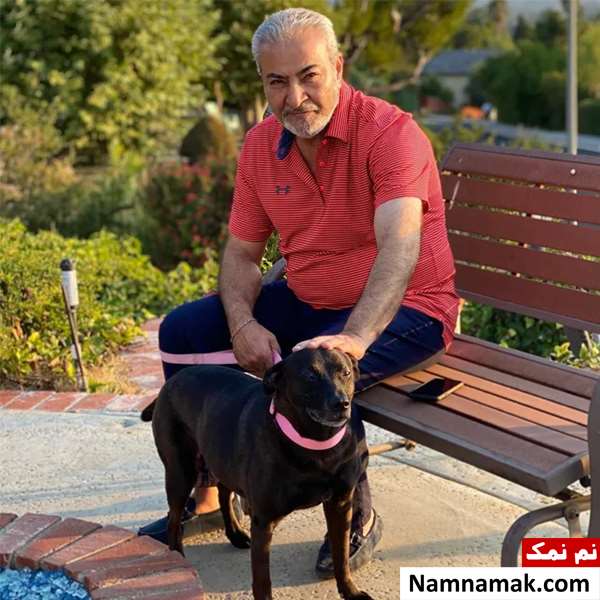 عکس ستار خواننده