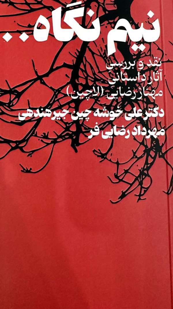 معرفی کتاب نیم نگاه