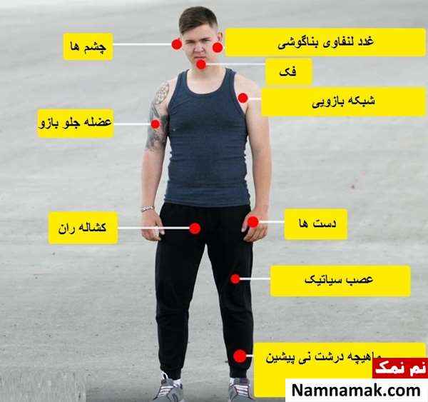 نقاط حساس بدن در دعوا و دفاع شخصی نقاط حساس بدن در دعوا و دفاع شخصی
