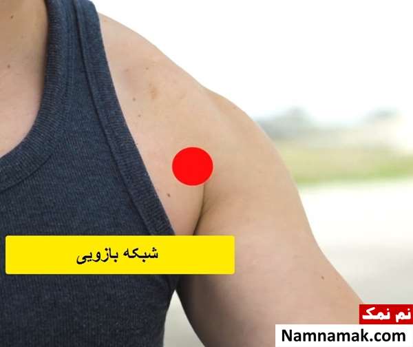 نقاط حساس بدن در دعوا و دفاع شخصی نقاط حساس بدن در دعوا و دفاع شخصی