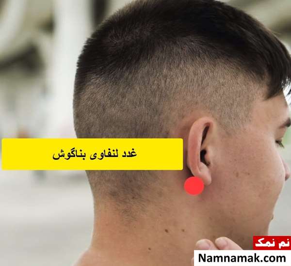 نقاط حساس بدن در دعوا و دفاع شخصی نقاط حساس بدن در دعوا و دفاع شخصی