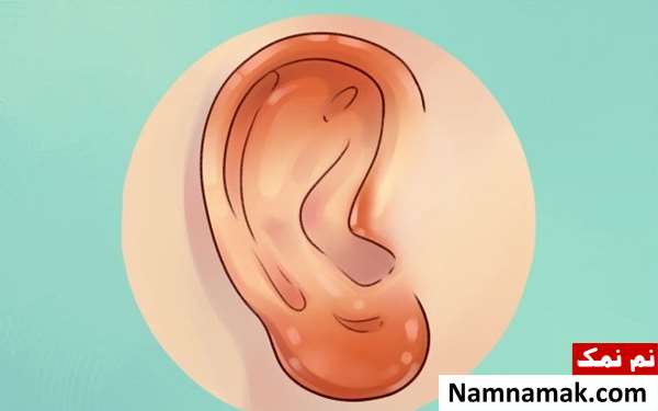 انواع شکل گوش انسان و رازها و شگفتی های آن انواع شکل گوش انسان و رازها و شگفتی های آن