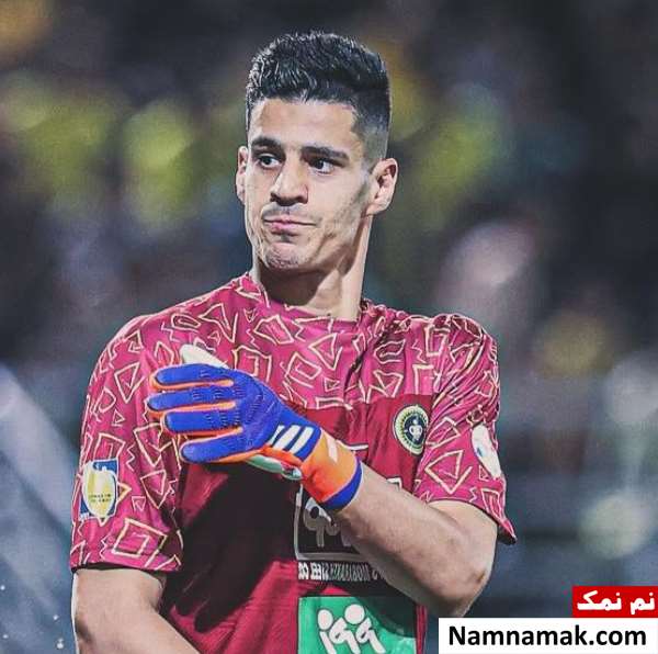 زندگینامه پیام نیازمند و همسرش پیام نیازمند
