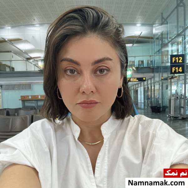 زندگینامه لیلی نیکفر و همسرش(Lily Nikfar) عکس های اینستاگرام لی لی نیکفر